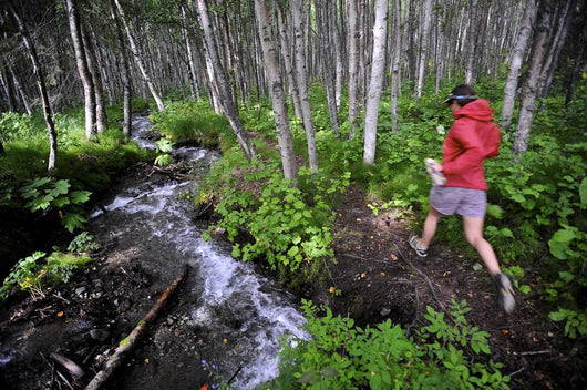 Woman Jogging Through A Birch Forest Alongside A Small Stream, Alaska Wall Mural