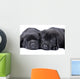 Black Labrador Retriever One