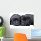 Black Labrador Retriever One