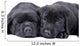 Black Labrador Retriever One