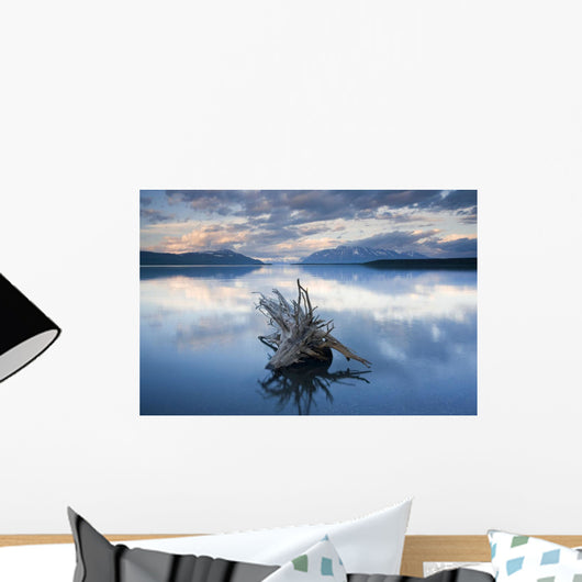 Driftwood Stump Wall Mural