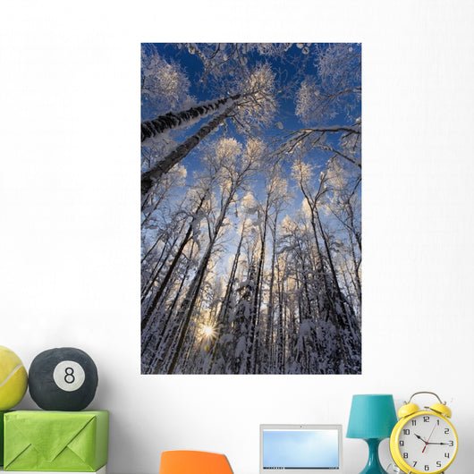 Overhead Snow Laden Forest Wall Decal