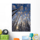 Overhead Snow Laden Forest Wall Decal