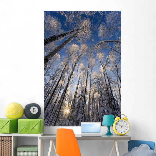 Overhead Snow Laden Forest Wall Decal