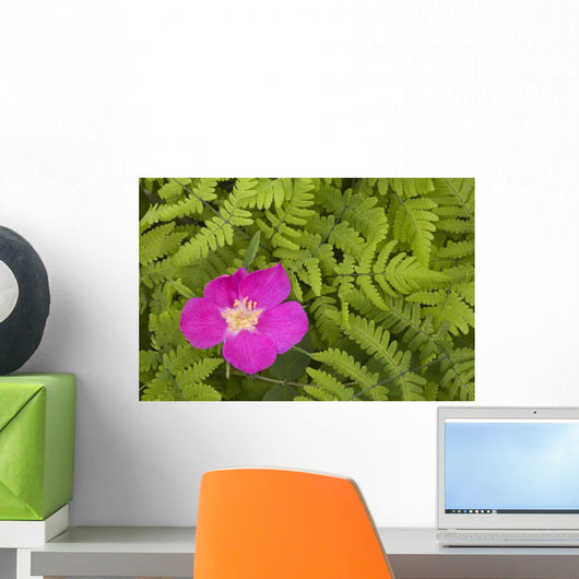 Prickly Rose Bloom Wall Mural