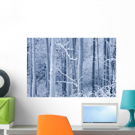 Frost Coated Birch Forest Wall Mural