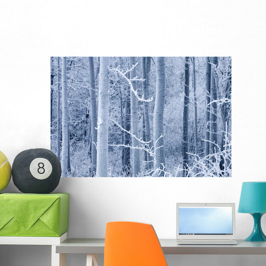 Frost Coated Birch Forest Wall Mural