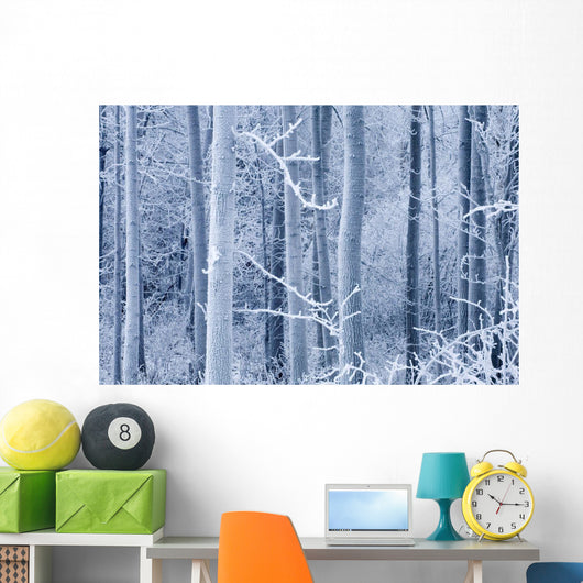 Frost Coated Birch Forest Wall Mural