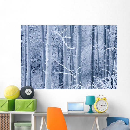 Frost Coated Birch Forest Wall Mural