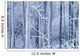 Frost Coated Birch Forest Wall Mural