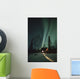Northern Lights Over Cabin Scotty Lk Petersville Rd Ak Winter Snow Wall Mural