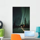 Northern Lights Over Cabin Scotty Lk Petersville Rd Ak Winter Snow Wall Mural