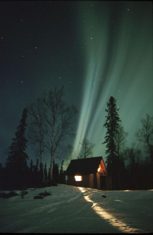 Northern Lights Over Cabin Scotty Lk Petersville Rd Ak Winter Snow Wall Mural