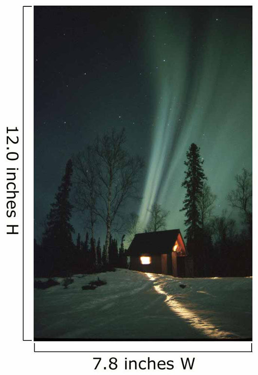 Northern Lights Over Cabin Scotty Lk Petersville Rd Ak Winter Snow Wall Mural