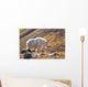 Mountain Goat Near Raven Glacier Wall Mural