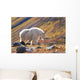 Mountain Goat Near Raven Glacier Wall Mural