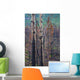 View Of Burnt Trees From The Eklutna Lake Fire Wall Mural