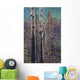 View Of Burnt Trees From The Eklutna Lake Fire Wall Mural