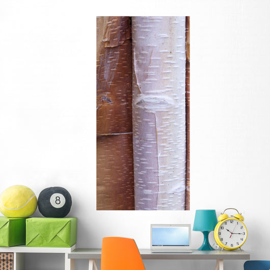 Close Up Detail Of Birch Bark Wall Mural