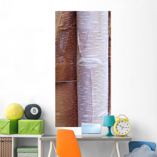 Close Up Detail Of Birch Bark Wall Mural