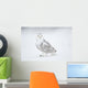 Snowy Owl On Snow, Saint-Barthelemy, Quebec, Canada, Winter Wall Mural