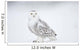 Snowy Owl On Snow, Saint-Barthelemy, Quebec, Canada, Winter Wall Mural