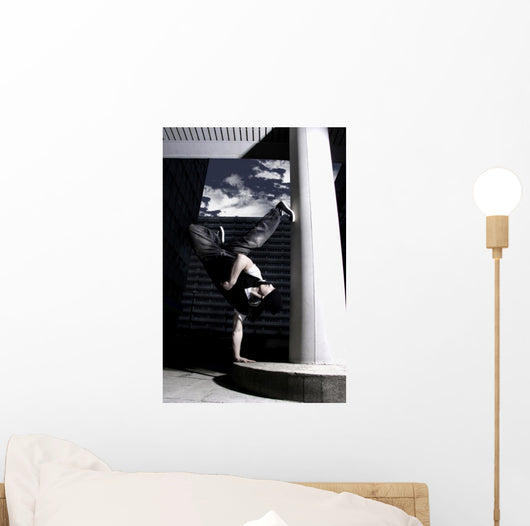 freeze Wall Mural