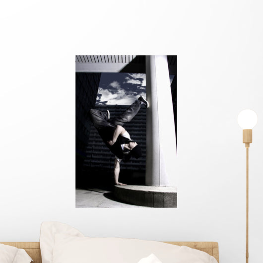 freeze Wall Mural