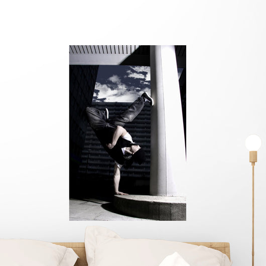 freeze Wall Mural
