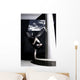 freeze Wall Mural