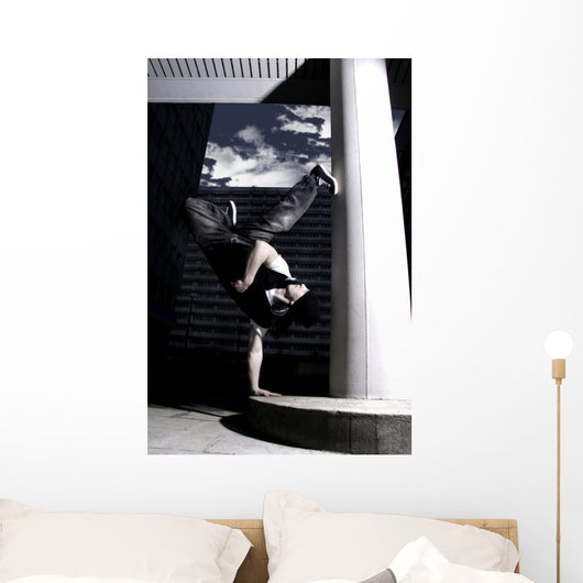 freeze Wall Mural