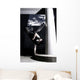 freeze Wall Mural