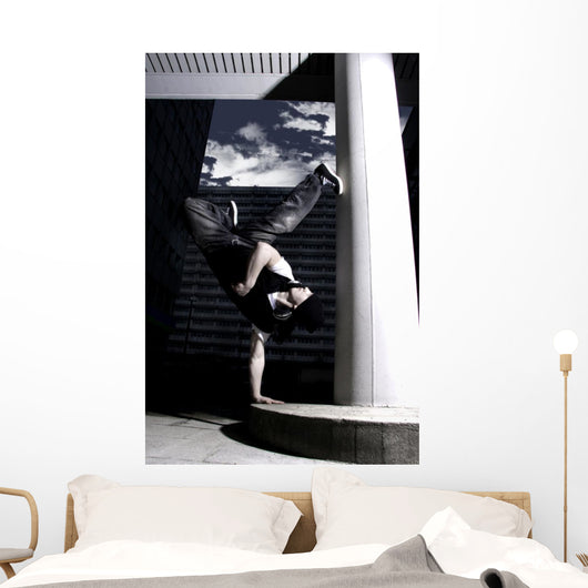 freeze Wall Mural