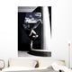 freeze Wall Mural