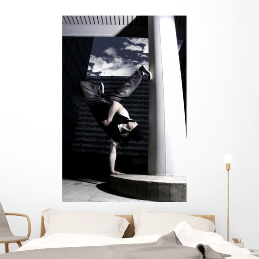 freeze Wall Mural