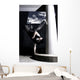 freeze Wall Mural