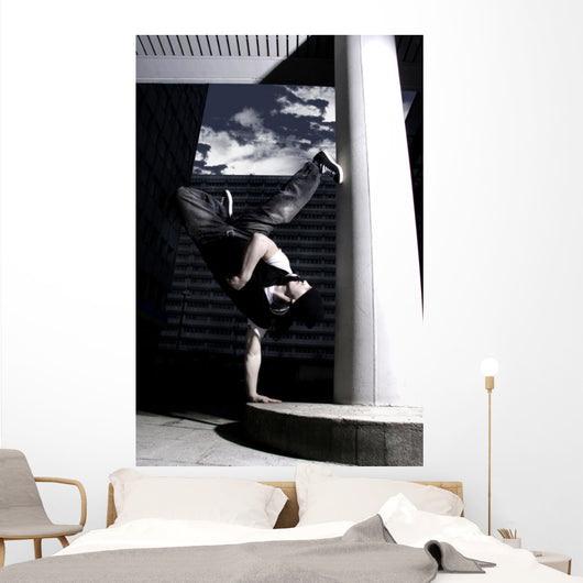 freeze Wall Mural