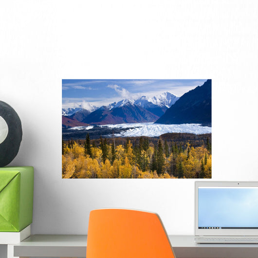 View Of Matanuska Glacier With Golden Autumnal Aspen Trees Wall Mural
