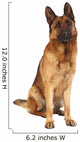 German Shepard Portrait Wall Decal