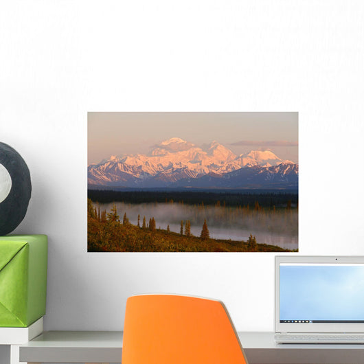 Mt Mckinley Reflected In Small Lake At Sunrise In Broad Pass Wall Mural