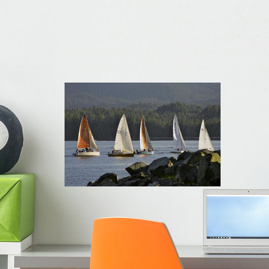Sailboats Race In Competition Near Ketchikan, Alaska During Summer Wall Mural