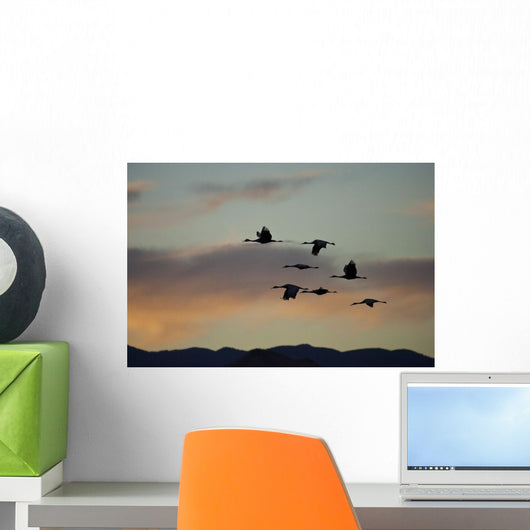 Flock Of Flying Sandhill Cranes At Sunset Wall Mural