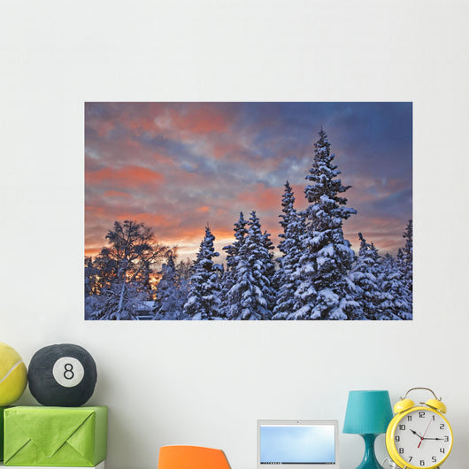 View Of Snow Covered Spruce Trees Wall Mural