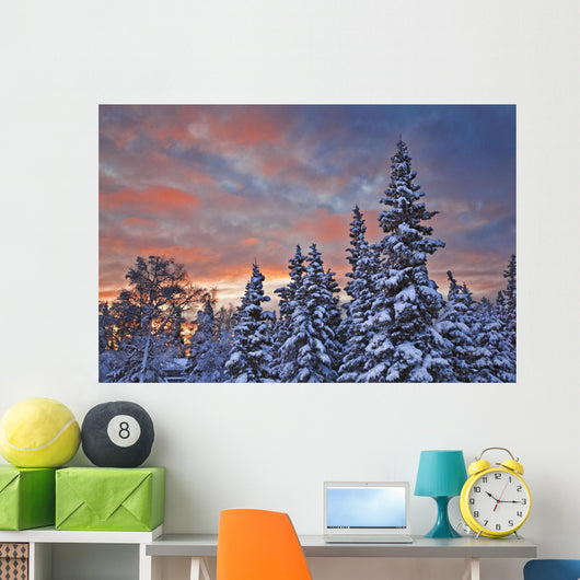 View Of Snow Covered Spruce Trees Wall Mural