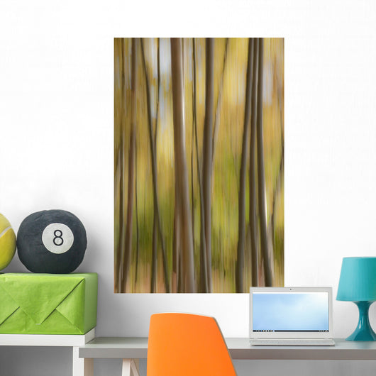 Abstract Of Birch Trees And Fall Colors, Alaska Wall Mural