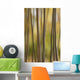 Abstract Of Birch Trees And Fall Colors, Alaska Wall Mural