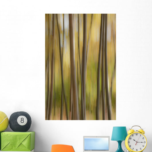Abstract Of Birch Trees And Fall Colors, Alaska Wall Mural