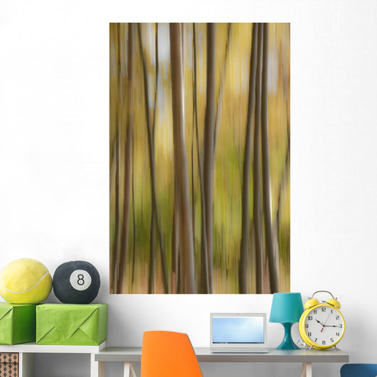 Abstract Of Birch Trees And Fall Colors, Alaska Wall Mural