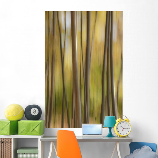 Abstract Of Birch Trees And Fall Colors, Alaska Wall Mural