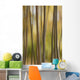 Abstract Of Birch Trees And Fall Colors, Alaska Wall Mural
